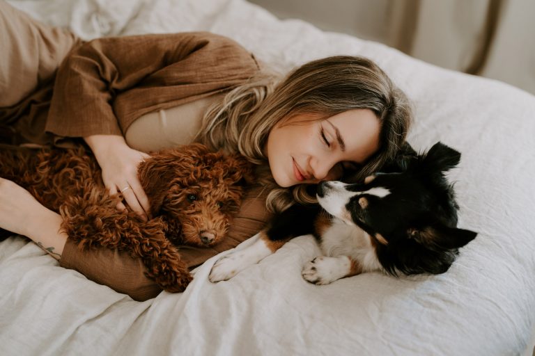 Hundefotografin Saarland Anika Lauer Fellfreundschaften